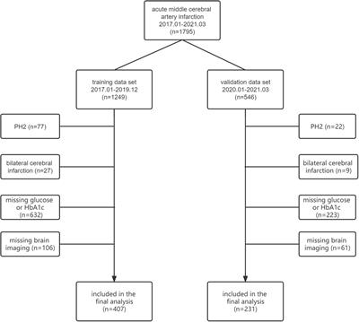 The stress hyperglycemia ratio is associated with the development of cerebral edema and poor functional outcome in patients with acute cerebral infarction